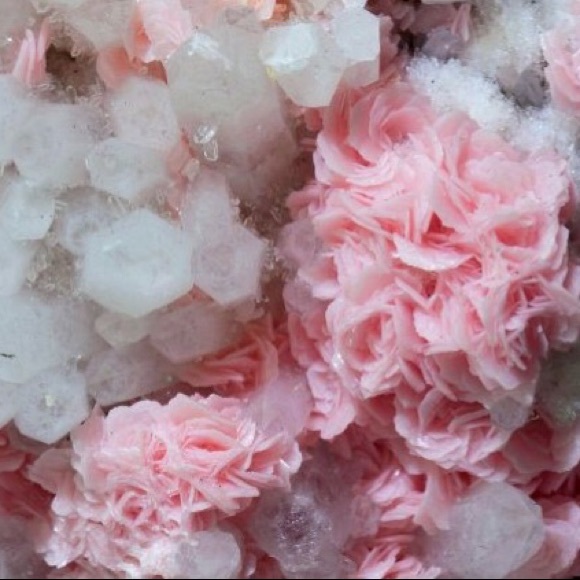 Profile Picture of Jasmine Peeler (@jazzy_gp) on Poshmark