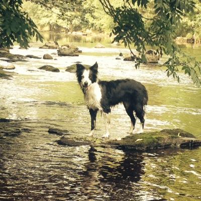 Profile Picture of Colin Abbott (@ColinAbbott7) on Twitter