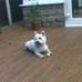 Profile Picture of Charlie Driver (@charlie.driver.737) on Facebook