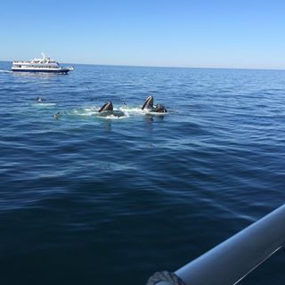 Profile Picture of Carleton Rockefeller Rehr (@crockefellerrehr) on Facebook