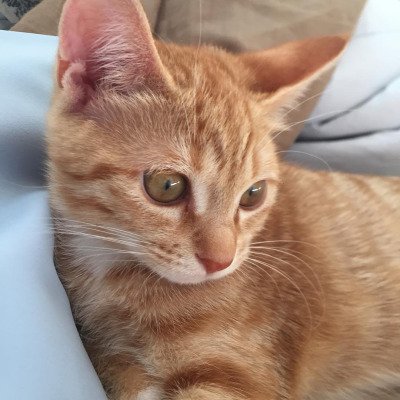 Profile Picture of Kristine Simon (@Sweetyyprincez) on Twitter