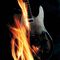 Profile Picture of Bruce Brocker (@Bruce-Brocker) on Facebook
