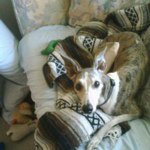 Profile Picture of LaDonna Thrush-Green (@ladonna_green) on Instagram