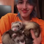 Profile Picture of Marcus Mearow (@Marcus-Mearow) on Facebook