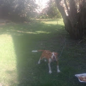 Profile Picture of Derrick Cannon (@derrick4797) on Youtube