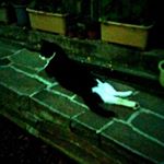 Profile Picture of Nobuo  Hayashi (@nobuo.hayashi.773) on Instagram