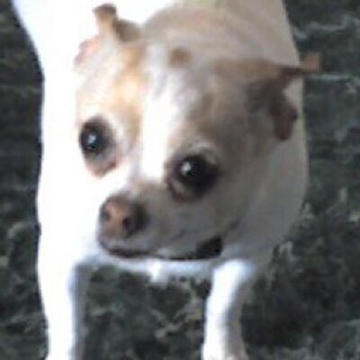 Profile Picture of Mandy Hearn (@hearn_mandy) on Twitter