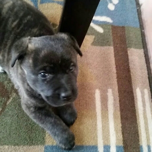 Profile Picture of Joshua Morrison (@amazinggrace113) on Poshmark