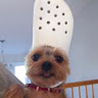 Profile Picture of Jasmine Bateman (@jasmine-bateman-4) on Quora