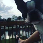 Profile Picture of Kevin Grennan (@kevin.grennan) on Instagram