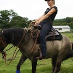 Profile Picture of Westernreiten mit Janet (@westernreiten_mit_janet) on Instagram