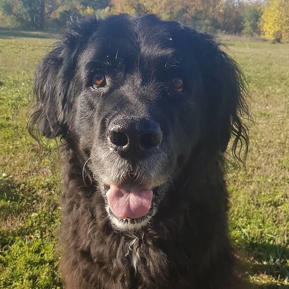 Profile Picture of Mel Suddes (@mbradley131) on Poshmark