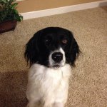 Profile Picture of Trevor Cannon (@blazer_fan_0) on Instagram