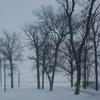 Profile Picture of Andrew Kunkel642 (@@user126897910352) on Tiktok
