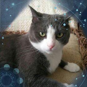 Profile Picture of Joann Messinger (@bartos1270) on Pinterest