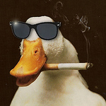 Andrea Noxx - Flickr Profile Picture of Andrea Noxx (@m4lfuri0n) on Flickr