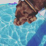 Profile Picture of Stoneking Paul (@likesicnic) on Instagram