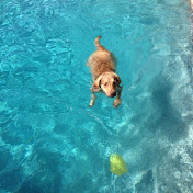 Profile Picture of Tracey Hudson (@traceyhudson8486) on Youtube