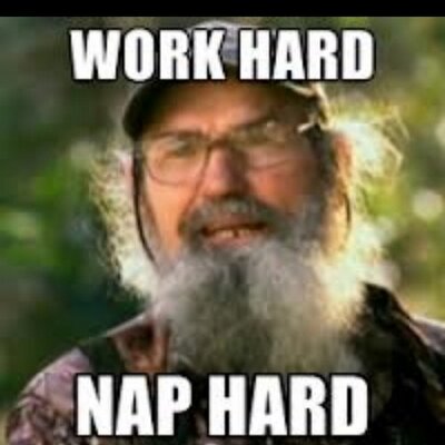 Profile Picture of Kyle Valeri (@Duckslayer17) on Twitter