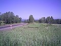 Profile Picture of Minusinsky Districton Wikipedia