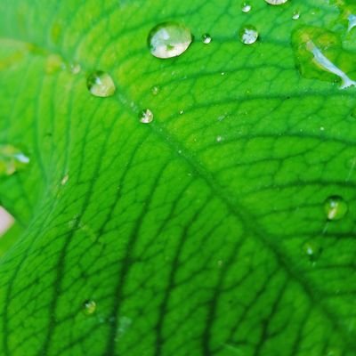 Profile Picture of Hamid Younes (@HamidYounes2) on Twitter