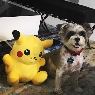 Profile Picture of William Burz (@luck_sack_kami) on Twitter