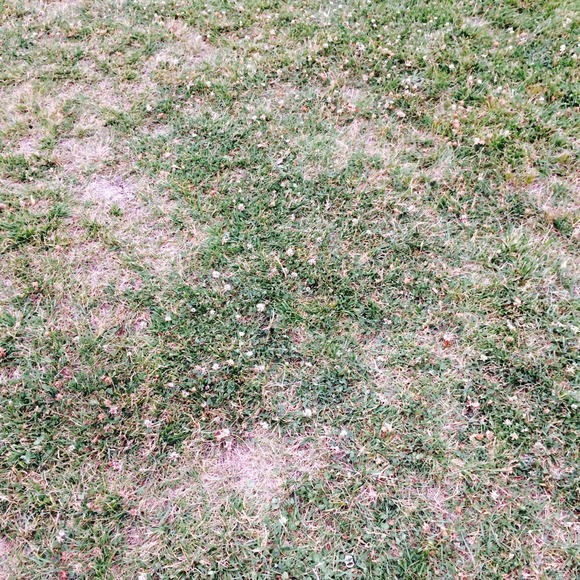 Profile Picture of Camila Sleap (@catsarecool321) on Poshmark