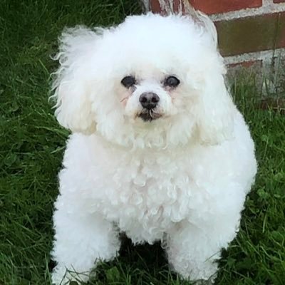 Profile Picture of Kim Raney (@Kraney2020) on Twitter