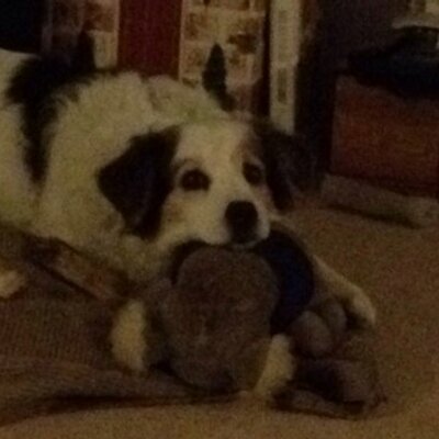 Profile Picture of Jodi Hummer (@jodihum) on Twitter