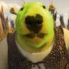 Profile Picture of Guy beaver (@@guy_beaver) on Tiktok