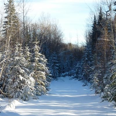 Profile Picture of Ken Bott (@bott_ken) on Twitter