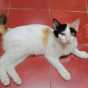 Profile Picture of Chanet 25 (@chanet2531) on Youtube