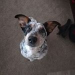 Profile Picture of Isaac Caho (@isaac.caho) on Instagram