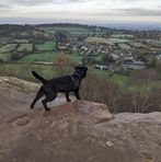 Profile Picture of David Linney (@david.linney.967) on Facebook