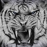 Profile Picture of abdirahman_adam11 (@abdirahman_adam11) on Instagram