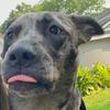 Profile Picture of Alexa.hicks (@@alexa.hicks) on Tiktok