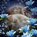 Profile Picture of Sarah Rustad (@sarah.rustad.5) on Facebook