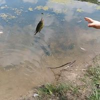 Profile Picture of Cathi Curry-hall (@cathi-curry-hall) on Quora