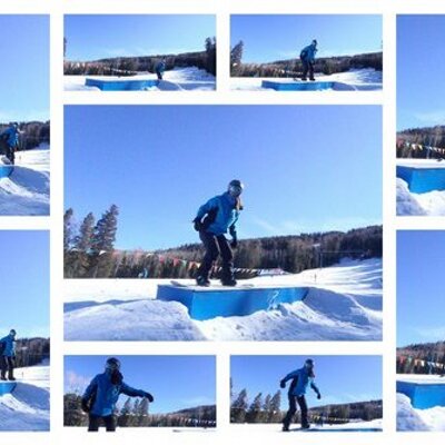 Profile Picture of Lori Tepley (@GreatSnowyEgret) on Twitter