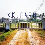 Profile Picture of Koun Keobandith (@kk_farm_vientiane_laos) on Instagram