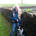 Profile Picture of bella🐶heidi🐕tasha🐈 (@_lucy_irvine124_) on Instagram
