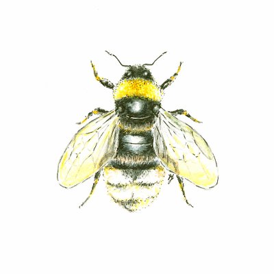 Profile Picture of Jess Parker-Andrews (@jparkerandrews) on Twitter