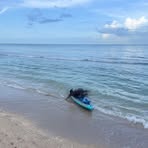 Profile Picture of Lawrence Toomey (@Lawrence-Toomey) on Facebook