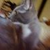Profile Picture of Carlton Marks (@carlton.marks.9) on Facebook