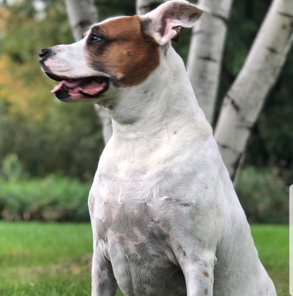 Profile Picture of Billii Stracener (@meanddc2) on Poshmark