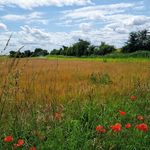 Profile Picture of Jean Millen (@millen_jean) on Instagram