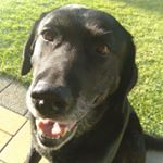 Profile Picture of Josh Bastian (@josh_2975) on Instagram