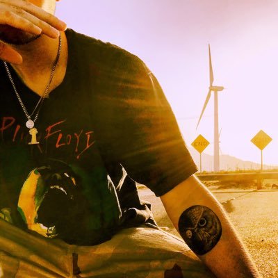 Profile Picture of Ace Ventura 🐒 🦇 (@Zach__Bernard) on Twitter