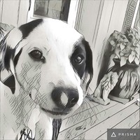 Profile Picture of Peter Homan (@peter-homan-1) on Quora