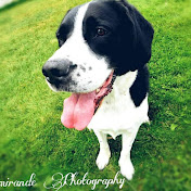 Courtnie Lemirande - Youtube Profile Picture of Courtnie Lemirande (@courtnielemirande723) on Youtube